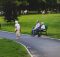 why walking is good for seniors